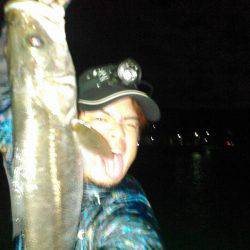 常夜灯ナイトシーバス